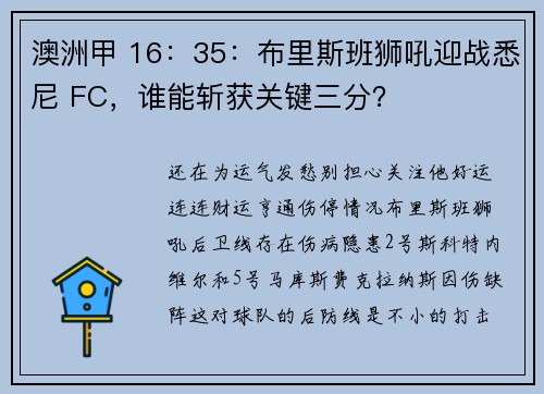 澳洲甲 16：35：布里斯班狮吼迎战悉尼 FC，谁能斩获关键三分？